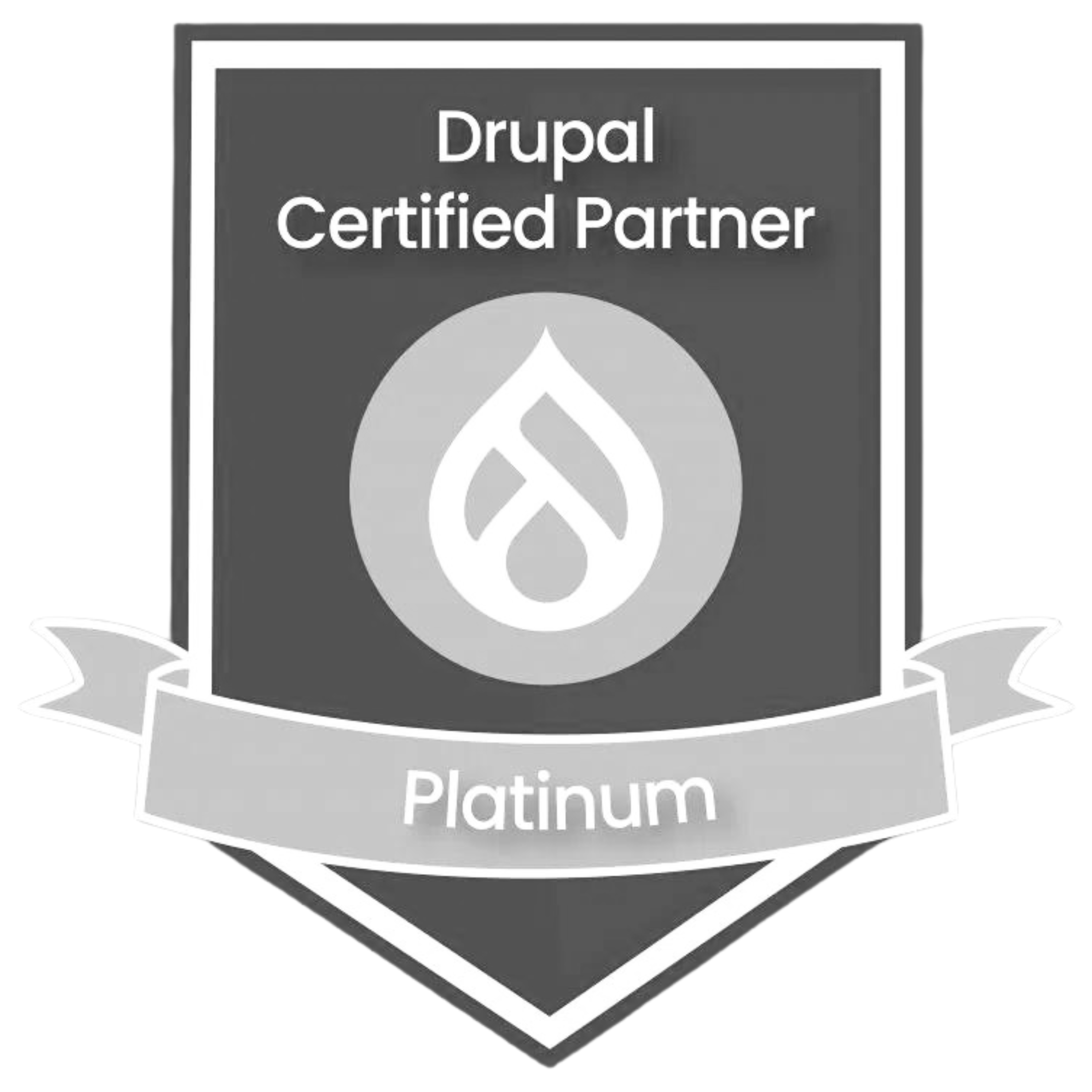 Drupal Platinum Partner