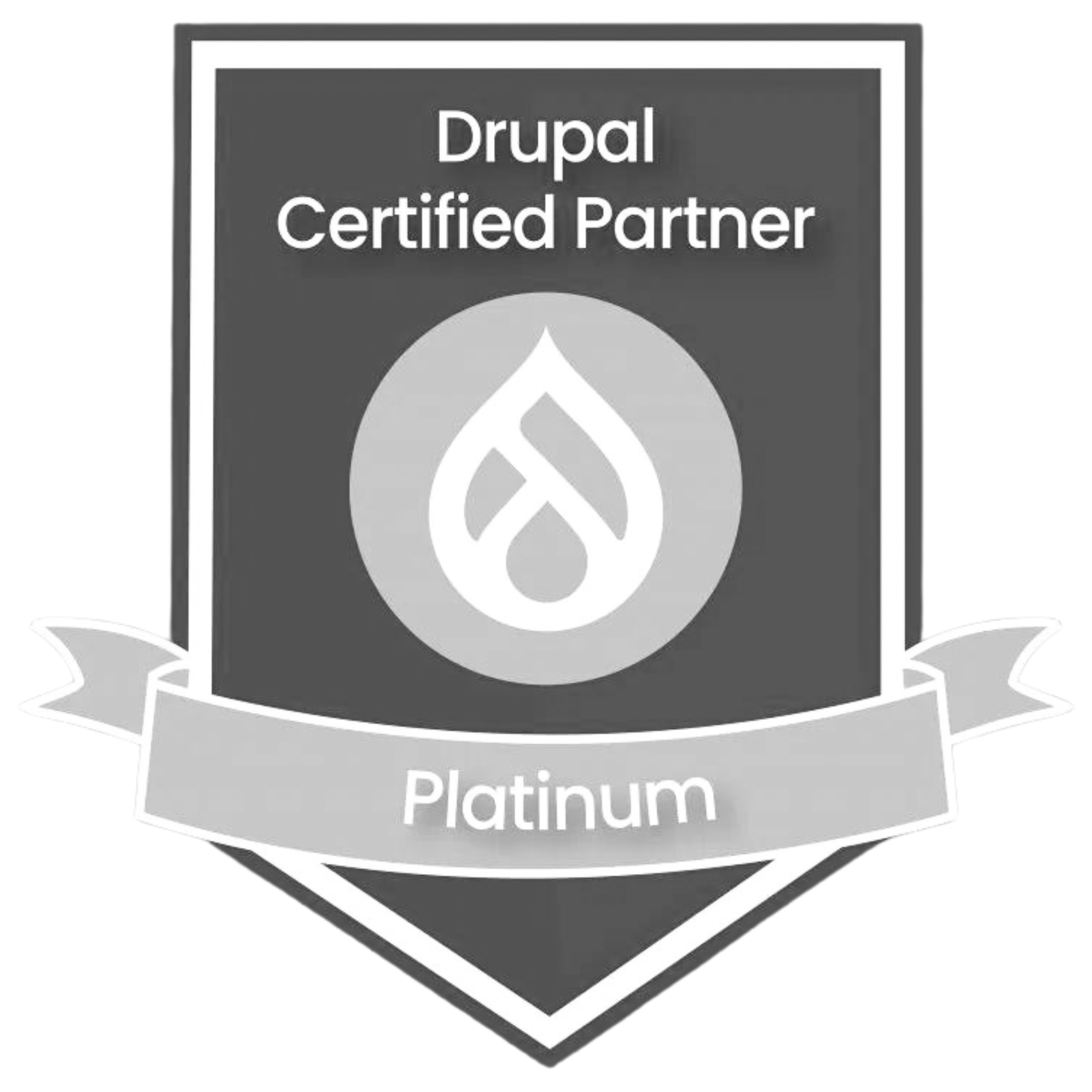 Drupal Platinum Partner